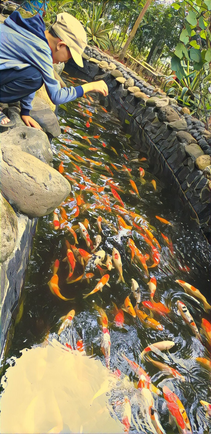 A boy and fish
