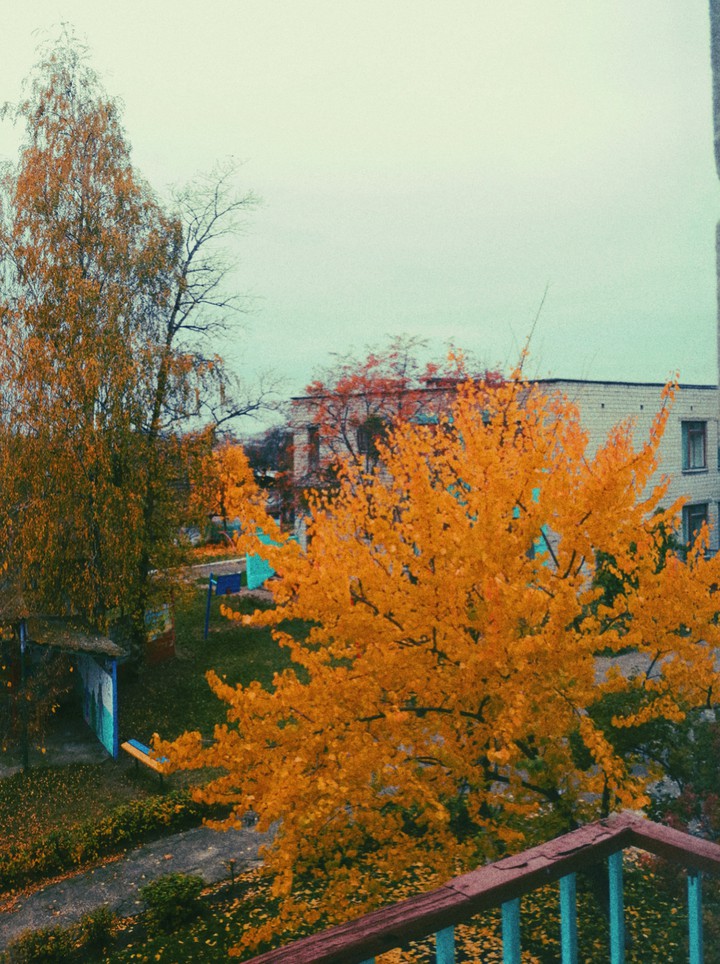 осень