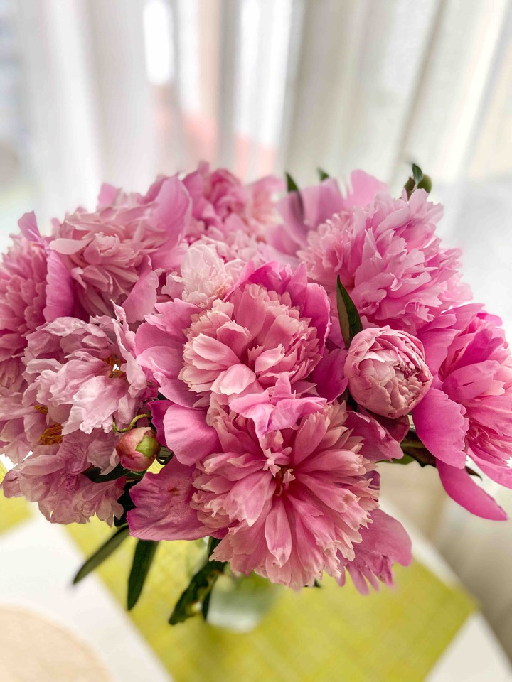 flowers