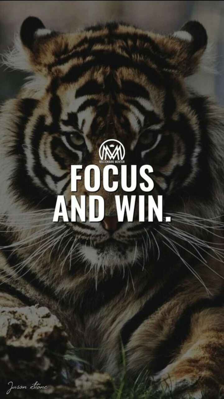 focus and win