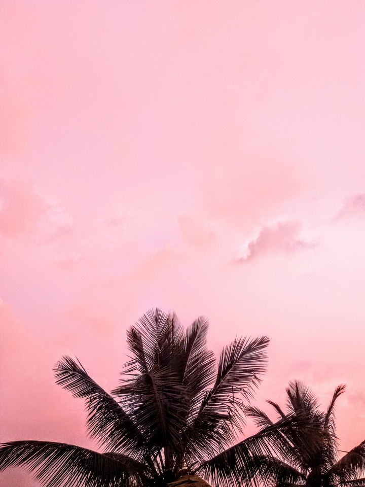 pink