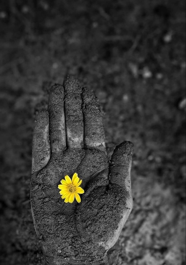 indian photography