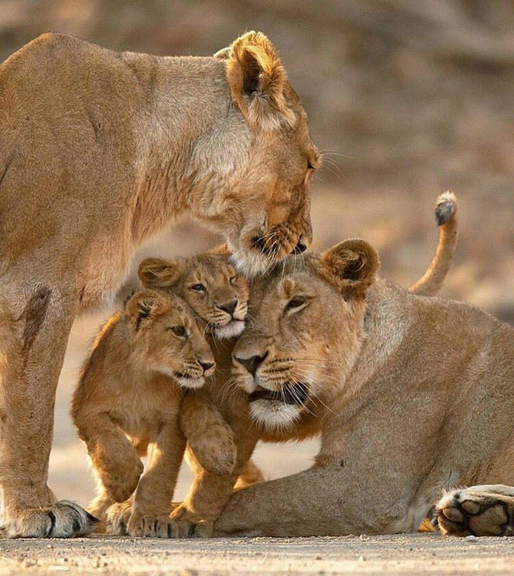 Tanzania