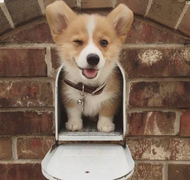 ☺
