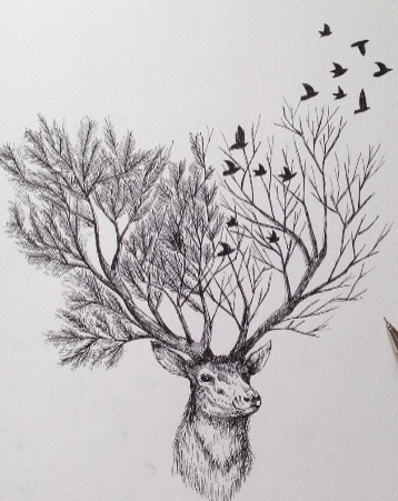 draw