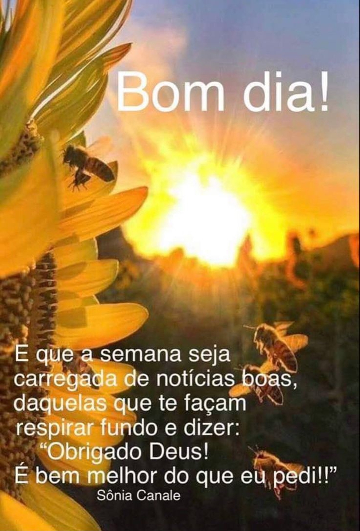 Bom dia, e abençoada seja nossa merecida semana