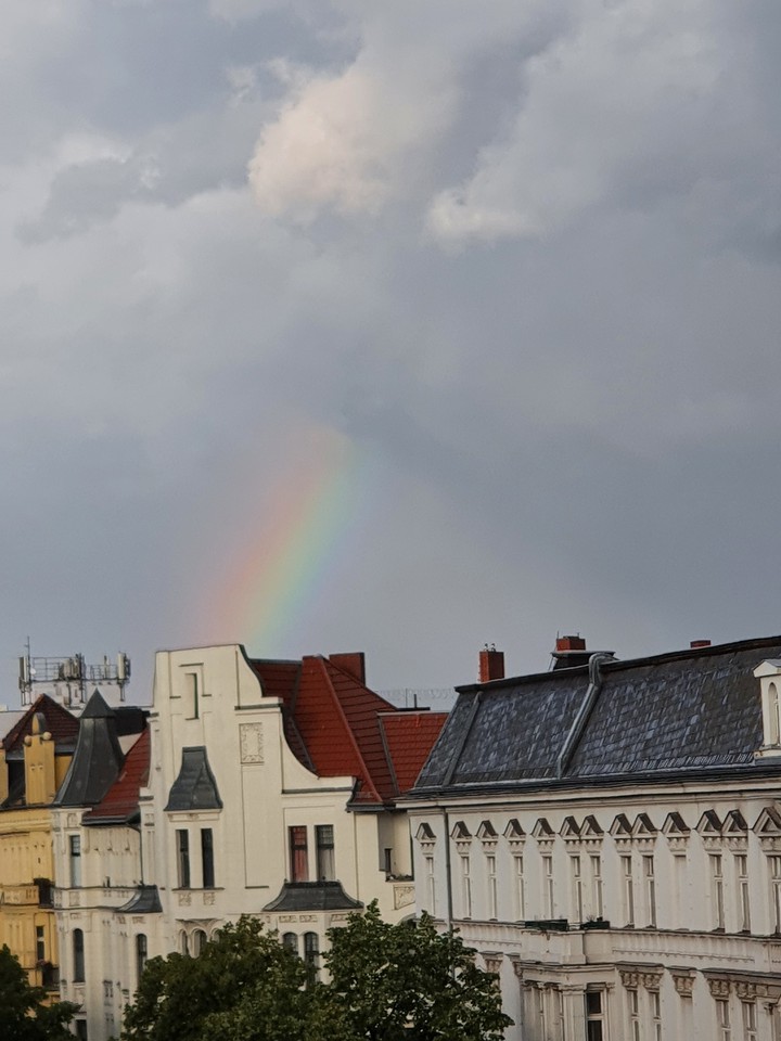 Regenbogen
