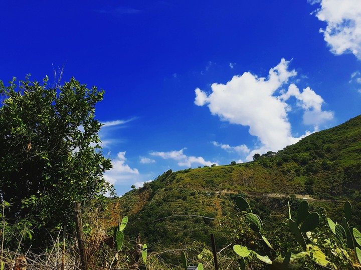 Nature.Calabria,Italy
