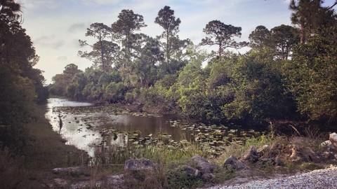 Wonderful Waterway