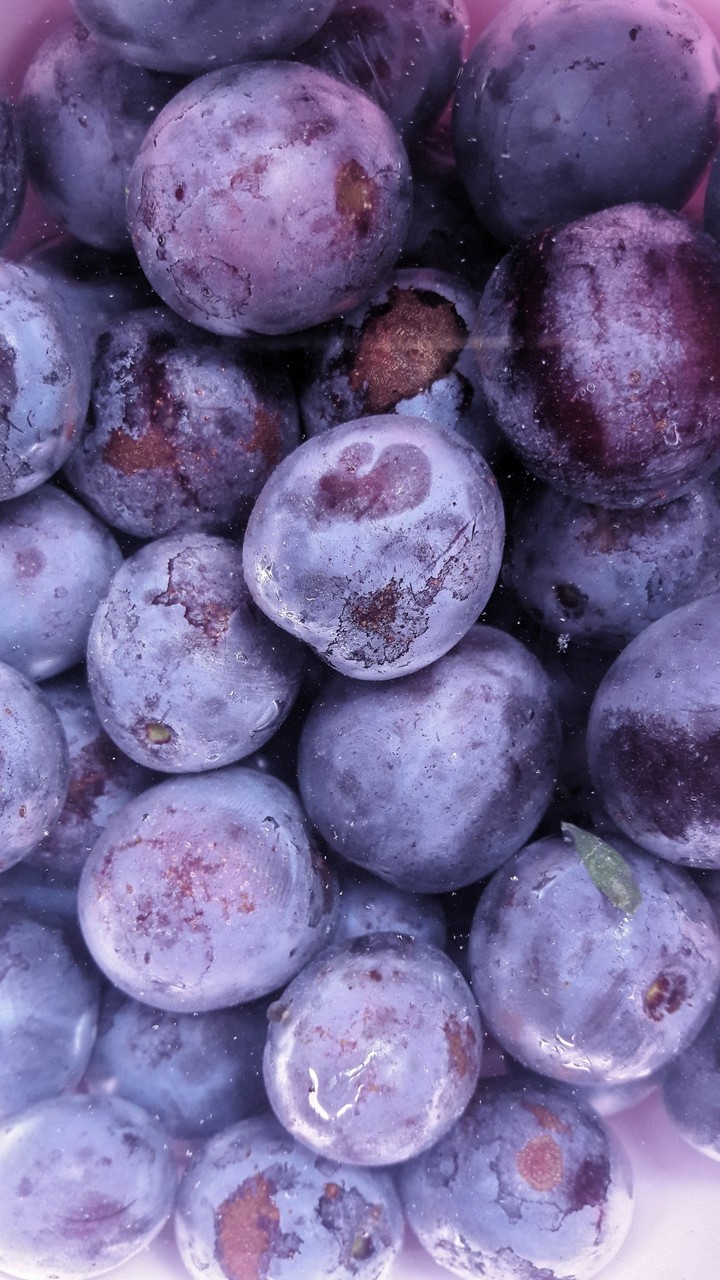 Plums