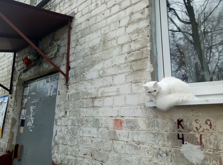 Она очень красивая. И очень, увы, пугливая.