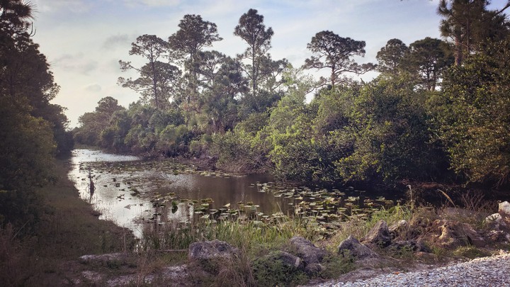 Wonderful Waterway