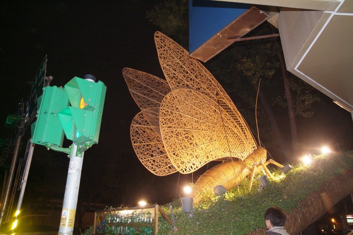 Travel