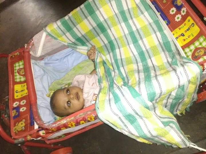 dev pal