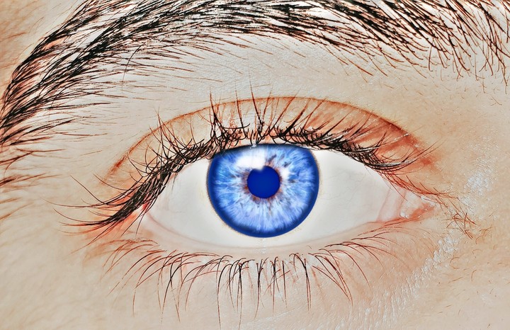 Eye