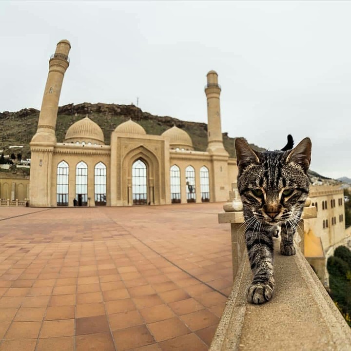 Azerbaijan, Baku, Bibiheybat
