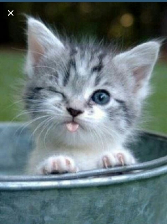 awwwwwww! ♡