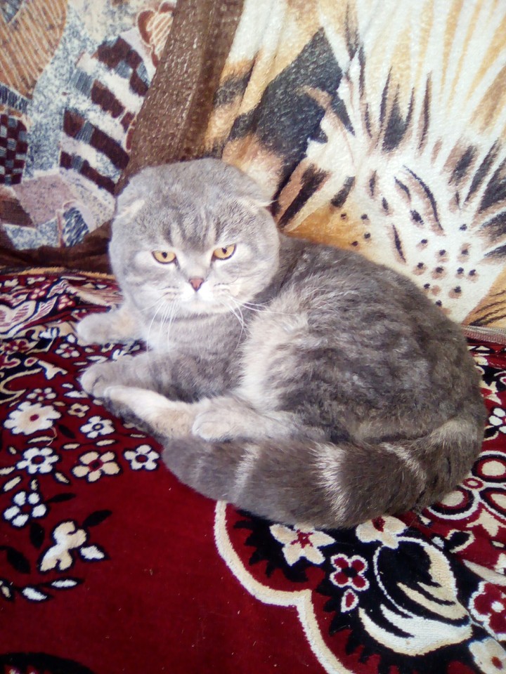 с