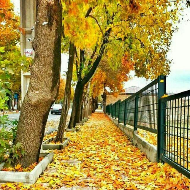 Nature fall