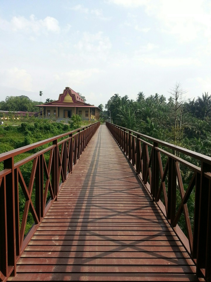 brown bridge