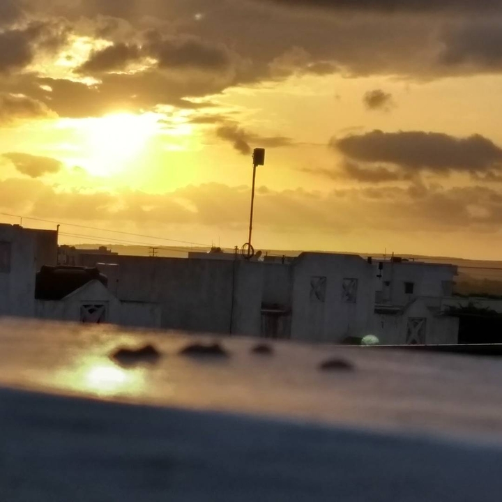 sunsine