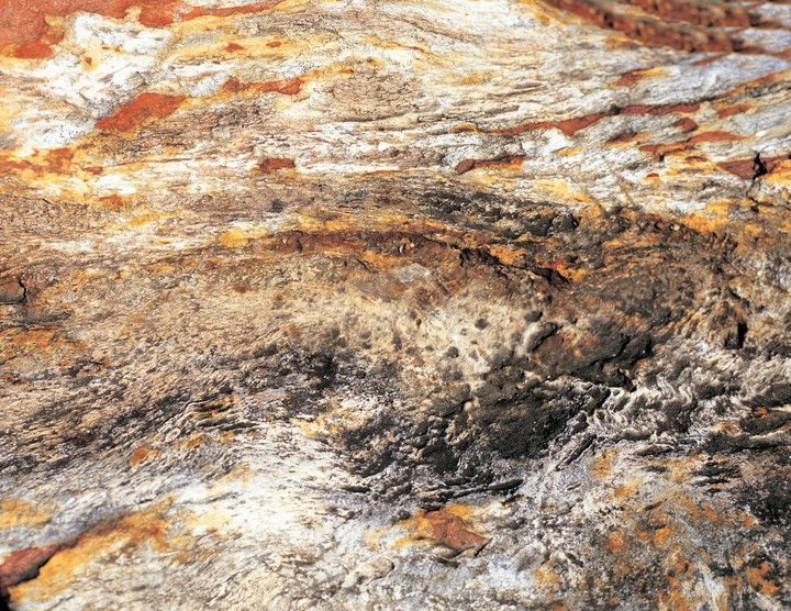 컨셉