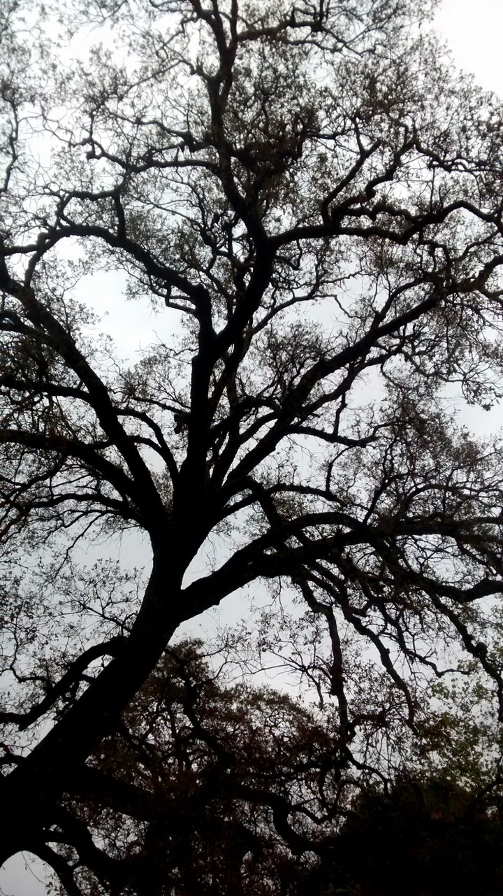 rainy day