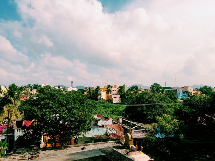 mYToWn
