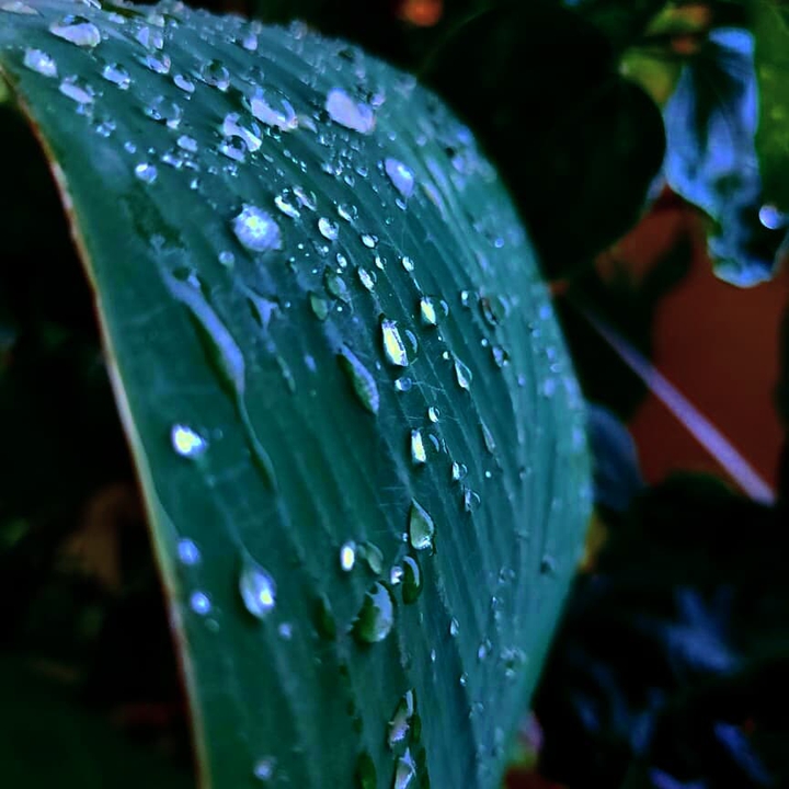 ❤❤rain drops
