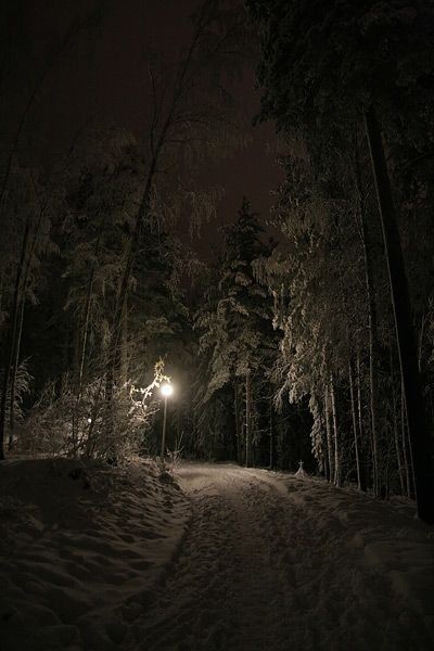 winter