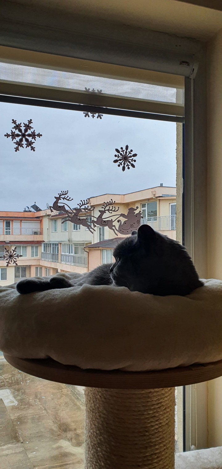 Waiting for Christmas