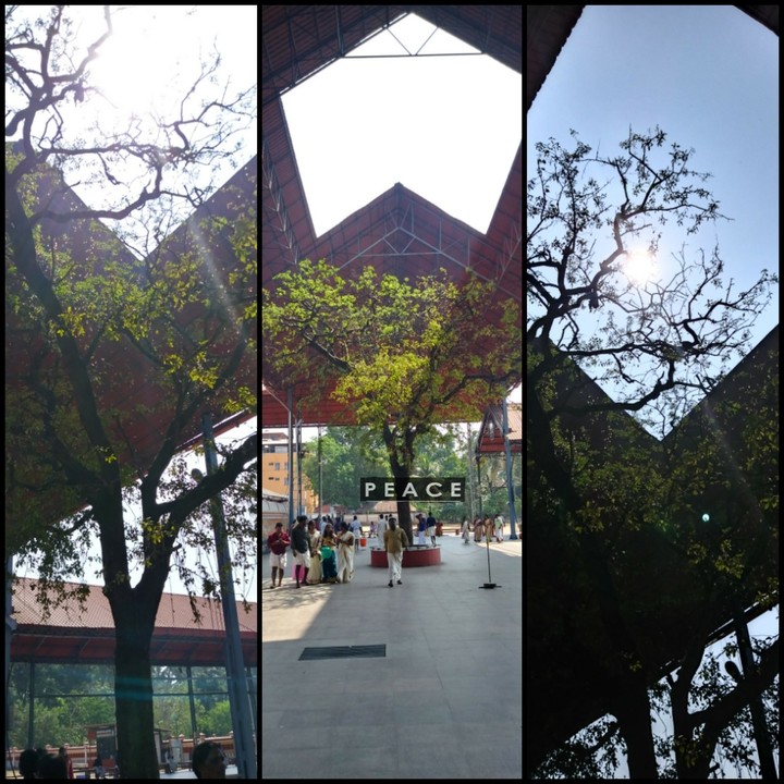 #Holy_Tree