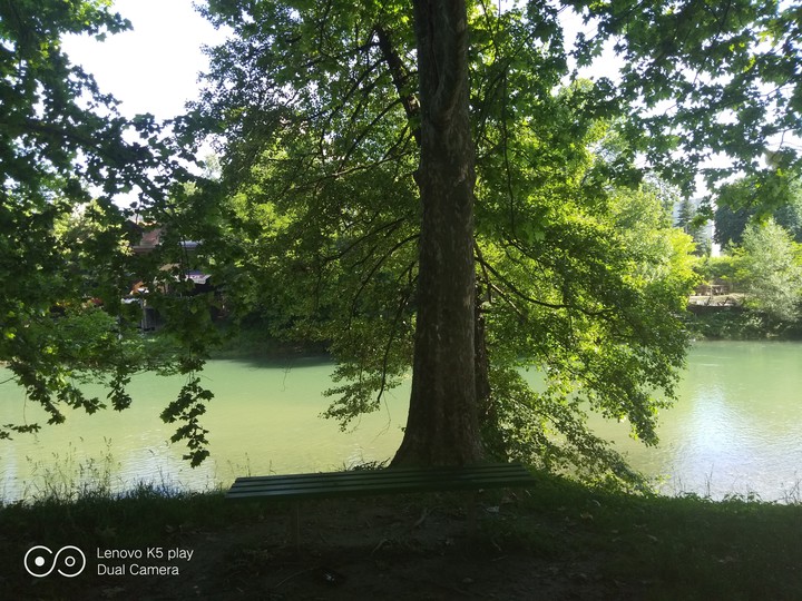 nature
