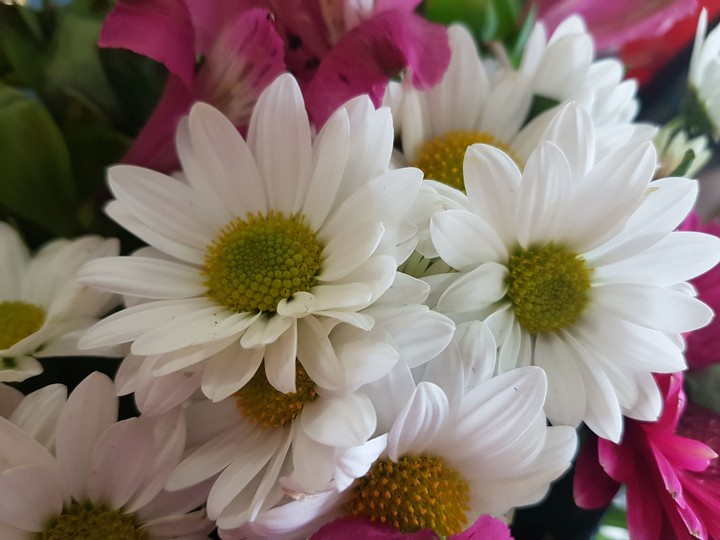 White flowers