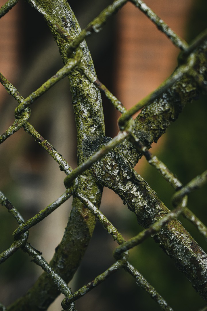 rust