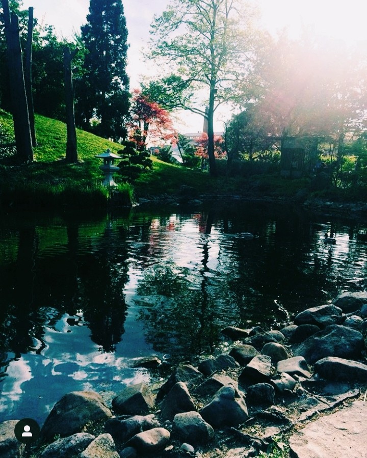 Beautifull