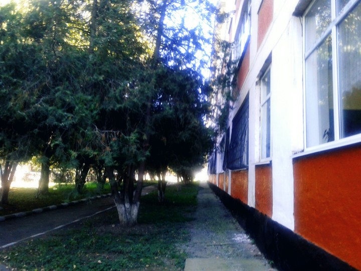 школа