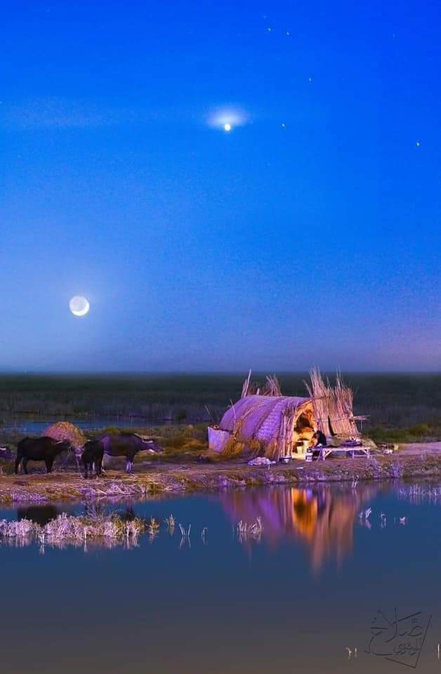 الاهوار عمارة العراق