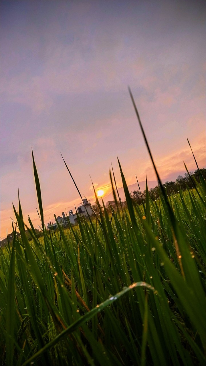 sunrise