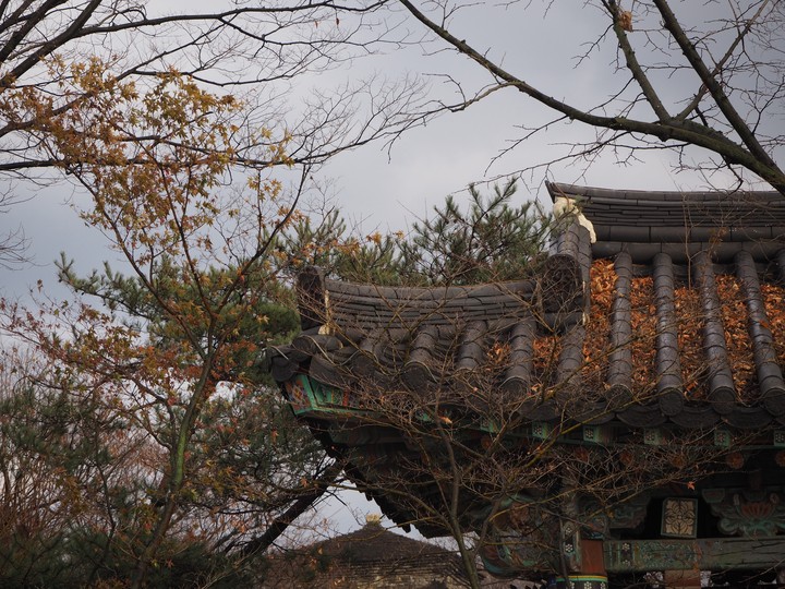 가을과 겨울 사이