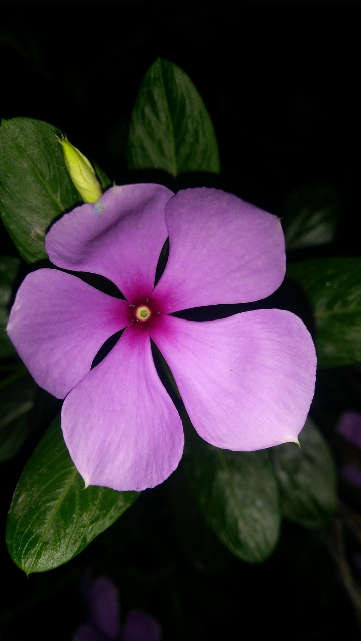 beauty in dark is like spark