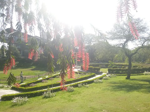 hidden garden