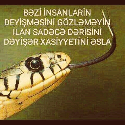 uz