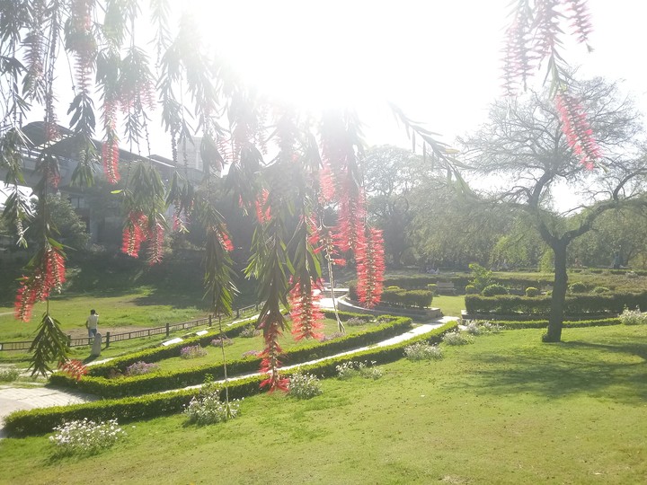 hidden garden