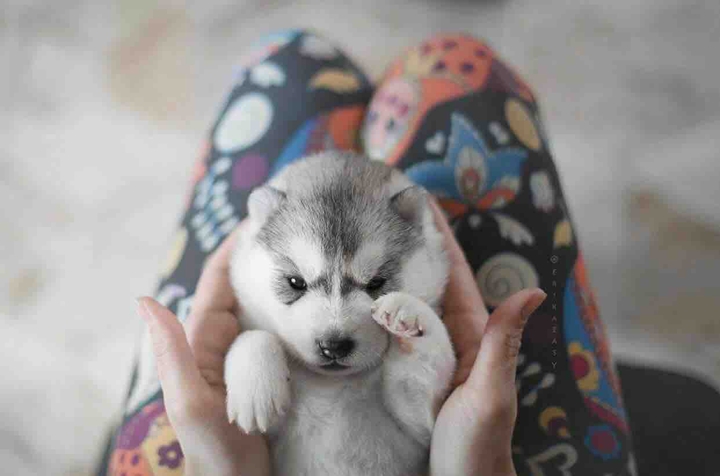 cute