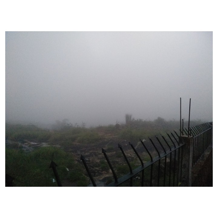 Fog