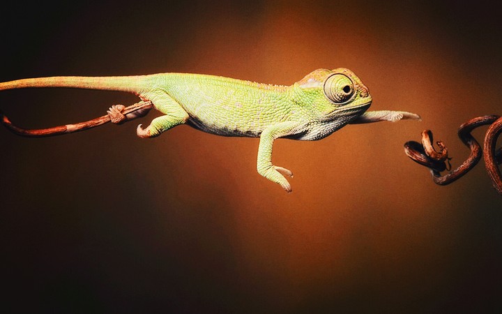 jump! jump!
