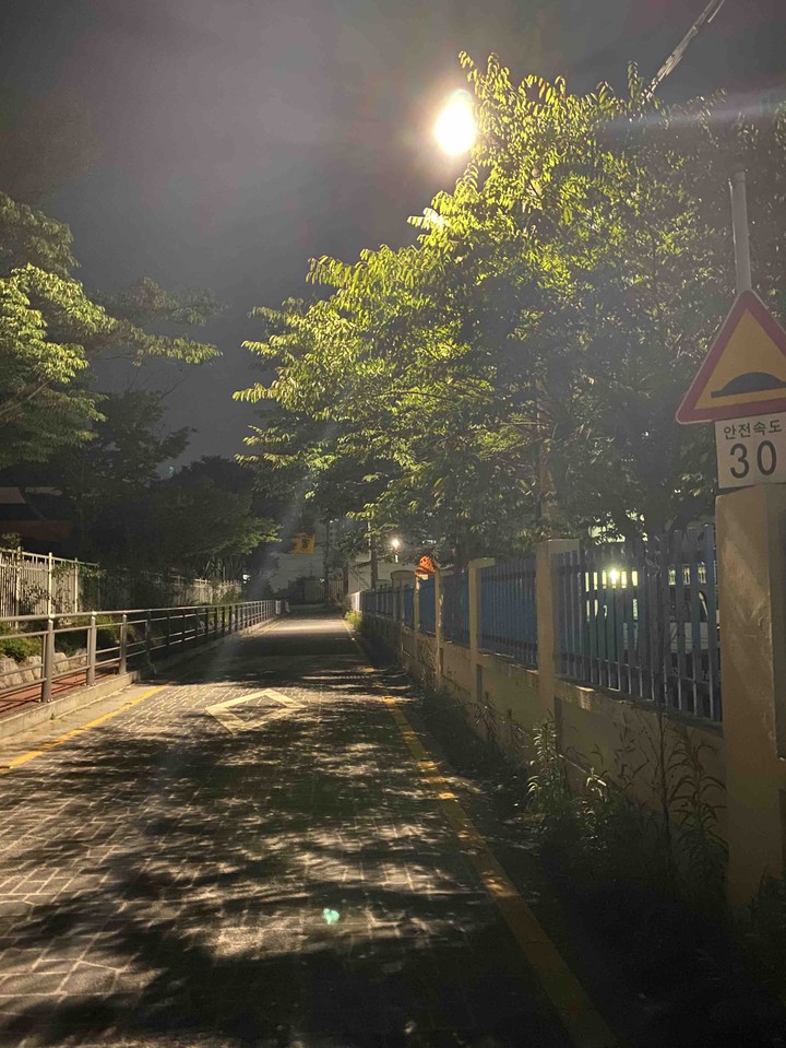 밤길 가로등