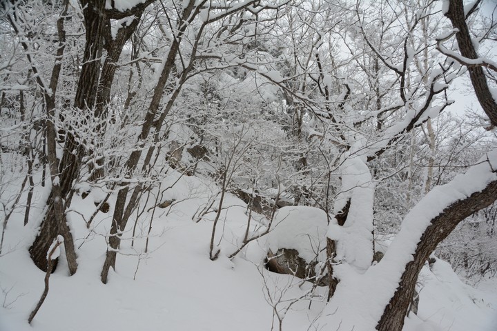 태백산이미지