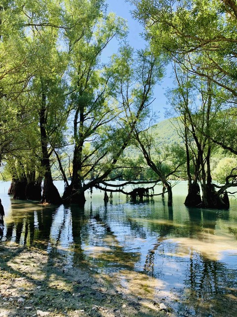 lago